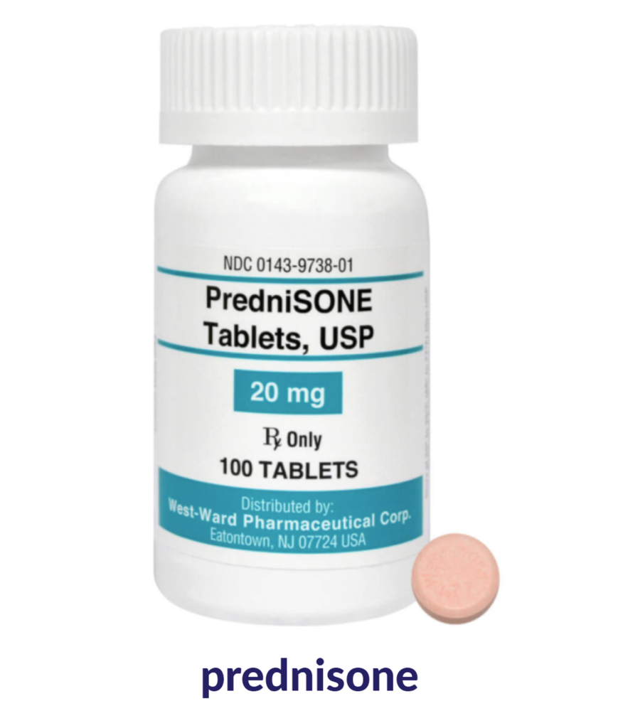 prednisone Pet Cancer Society