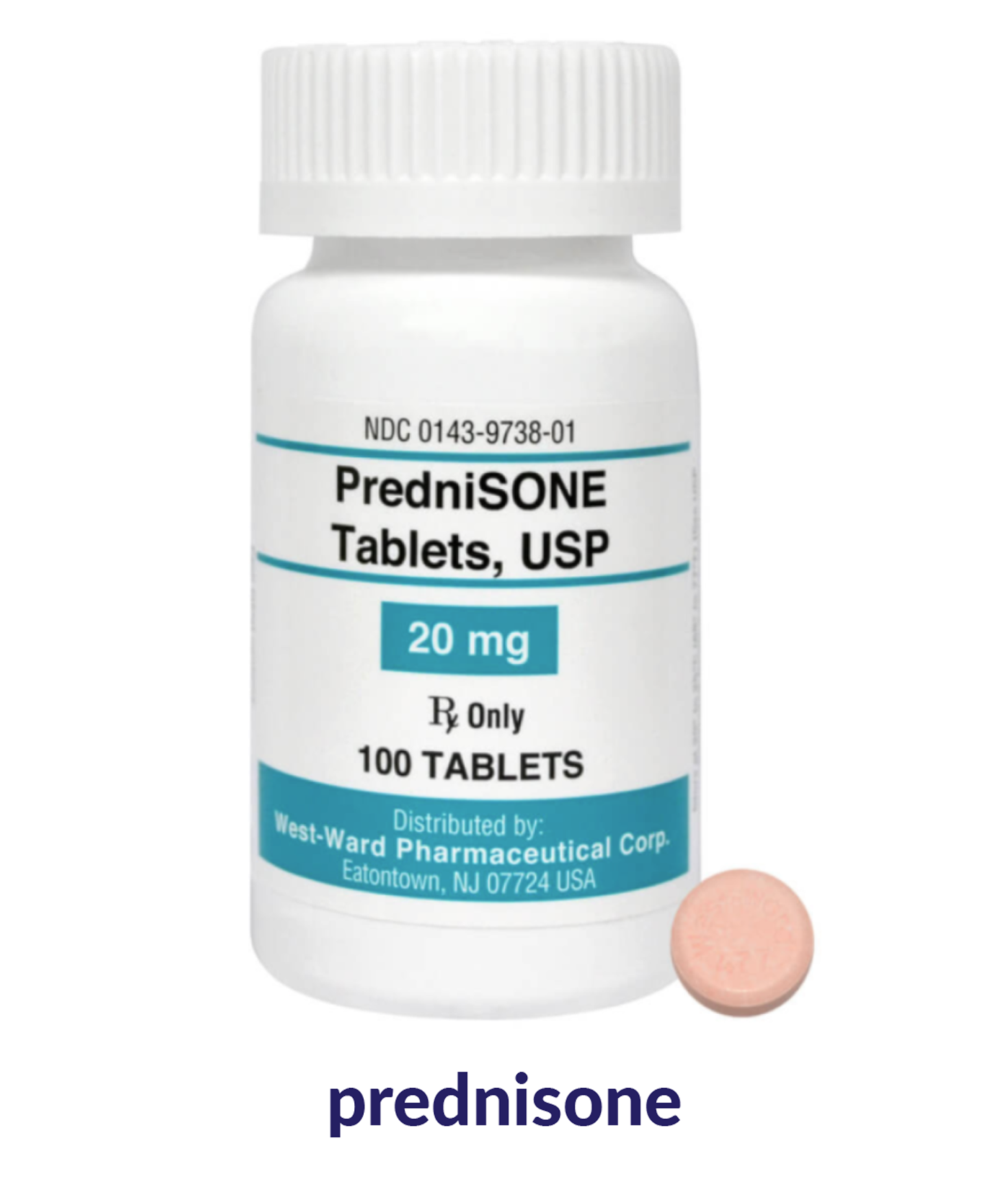 prednisone Pet Cancer Society